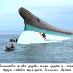 கண்ணுக்கும் மூளைக்கும் விருந்தாக… -அரியதோர் புகைப்படங்களும், அதுகுறித்த செய்திகளும்...