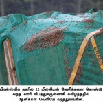 கண்ணுக்கும் மூளைக்கும் விருந்தாக… -அரியதோர் புகைப்படங்களும், அதுகுறித்த செய்திகளும்...