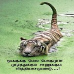 புலிகளை நம்புங்கள்!!! ஒரு மாதத்தில் யாழ்ப்பாணத்தில் புலிக்கொடி!! -செ.பத்மலிங்கம்