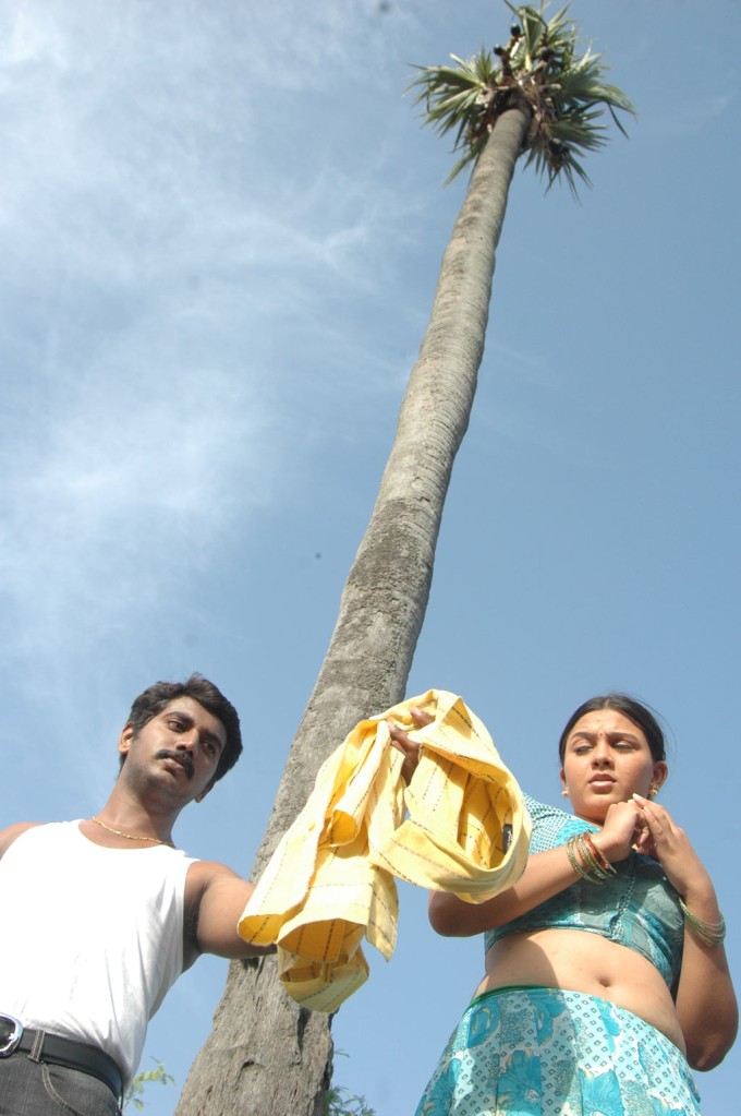 Veerachozhan-1 _27_