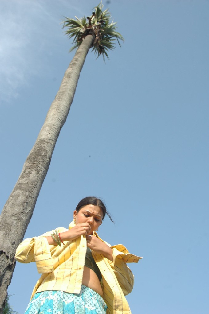 Veerachozhan-1 _28_