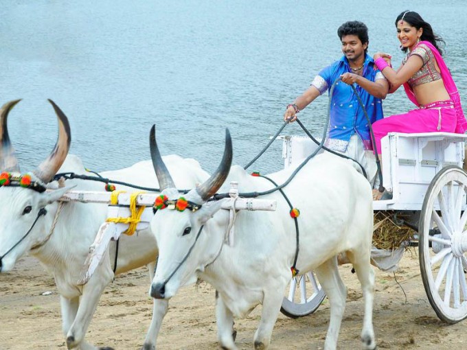 vettaikaran-12