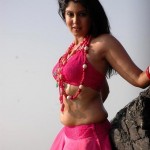 அவ்வப்போது கிளாமர் படங்கள்..