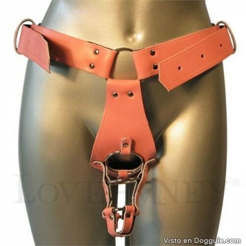 923040_663433153671974_638288623_n