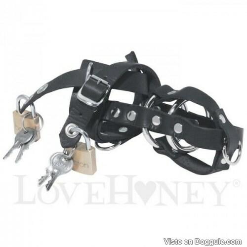 941972_663433183671971_804634389_n