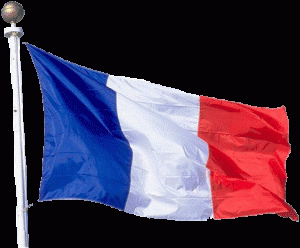 france-flag3-300x248