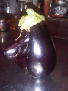 IMG00338-20130603-1542