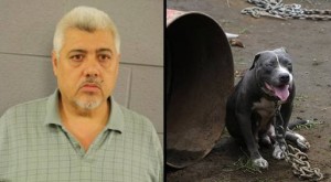 Screen shot 2013-06-03 at 2_19_29 PM_png