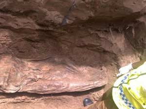 d43b9a3c-f0a3-4533-a151-caf6f698bf8a_S_secvpf