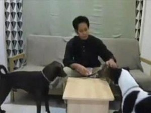 01-1375334334-dog-14-600