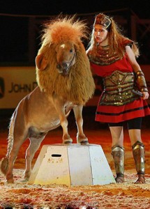 2493article-0-18A1AB1400000578-49_306x423