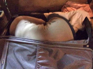 02572d2a-5c10-4e1e-b9d9-ab9fbc9d533e_S_secvpf