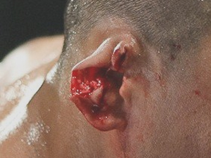 208dac-d2a5-464f-85ee-8c5172703006_S_secvpf