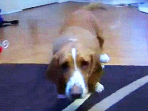 94de3825-378b-4b5c-b141-862b3c36395f_S_secvpf