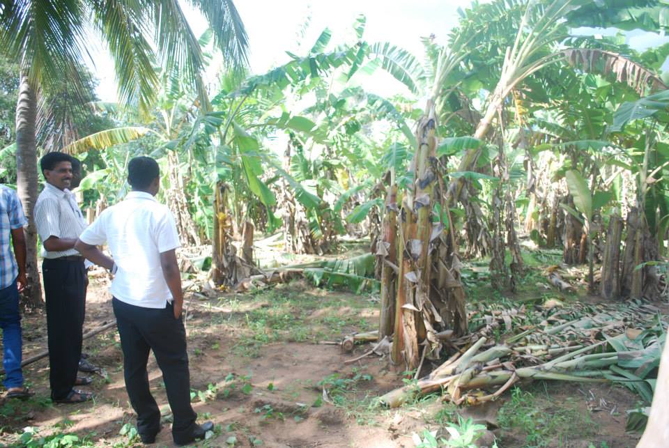 10330495_10203602368128918_8680206350831506138_n(1)