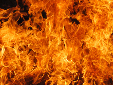 1228455095Untitled-1