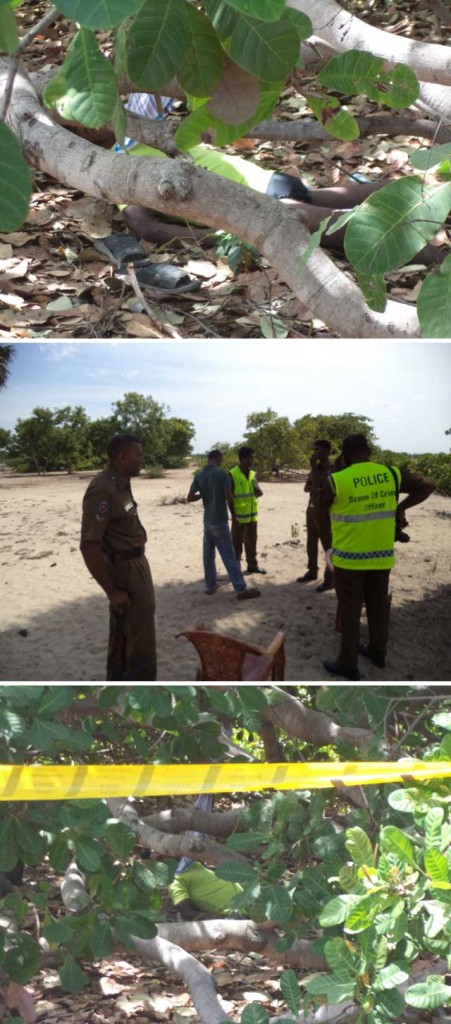 2133379727Untitled-1