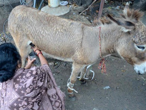 77f77ad3-f5cb-4d1d-976d-db89b6587479_S_secvpf