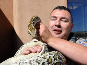 9047f17d-b869-423a-ae49-4c46d0aebb1b_S_secvpf