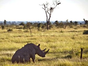 cd402eaf-ec1b-49c2-818e-446a0f8f3de5_S_secvpf