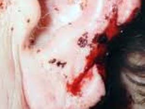 fad19fae-a2e0-4e03-ab5f-c2e73517eea9_S_secvpf