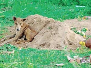 01bb9ba9-d68a-4658-adc7-a735daac86a7_S_secvpf