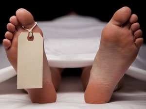 811176f3-6e7c-43d8-8527-67ec21e151bf_S_secvpf