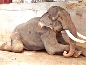 88aa29e4-1d89-4bf9-891e-ca240ffa639b_S_secvpf