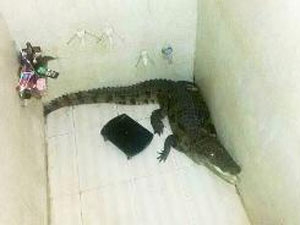 b541c43f-1cc8-4705-8efe-cc7885954259_S_secvpf