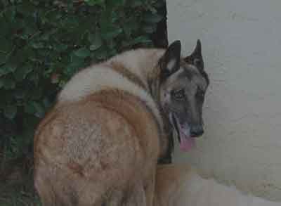 18745835539374818632