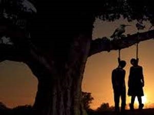 31c9cca9-2807-4f01-aa36-4ba7f9bc71f3_S_secvpf