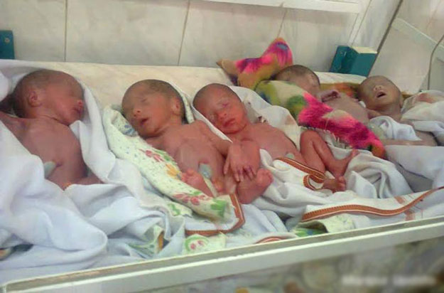 Five-newborn