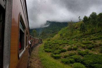 1075663278774173914train3