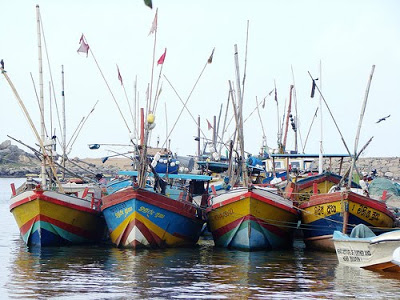 1207835952Fisheries_Habour