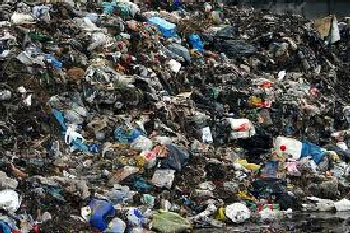 1544849272Untitled-1