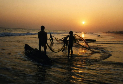 1799563077Untitled-1