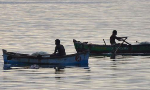 2124885519Untitled-1