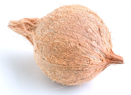 429538399coconut