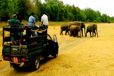 5410395761688251759wild-life-officers2