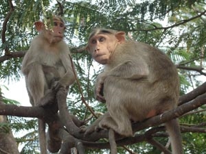 9a4a31db-f8c4-405a-ab88-4383bdef5cfd_S_secvpf