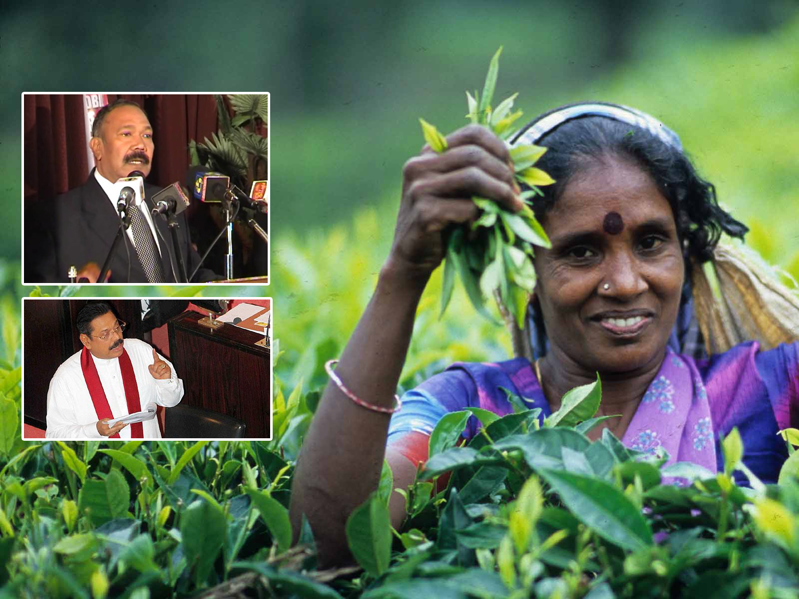 budget--sri-lankan-tea-workers