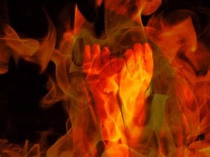 cb927c8c-891d-4084-a677-c2ed2b9f798b_S_secvpf