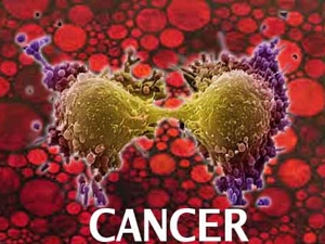 03a8bb62-2779-4f28-a94f-3eb943f2caf6_S_secvpf