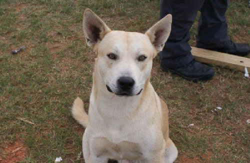 1559337922Untitled-1