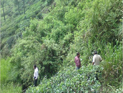 2091303115Untitled-1