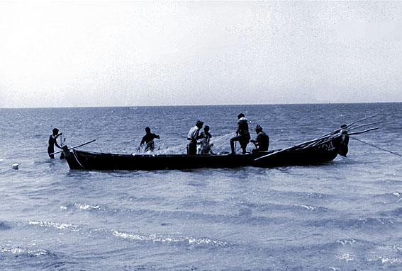 21413970351582679750fisherman new2