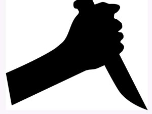 9f3fcecd-f5b6-4a4e-bf67-704efad5630b_S_secvpf