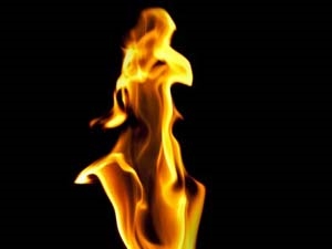 0b89cccd-3b6e-44d3-95e9-28b3e1a86d2e_S_secvpf