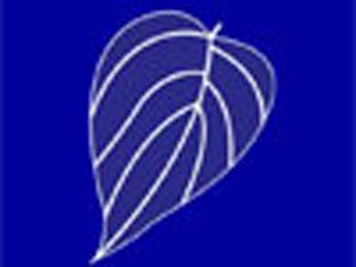 21414854791268148038sandanaya2