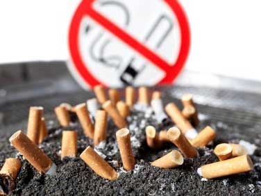 fbb6b63a-e2e7-4f6d-92ed-7fb22df72b7c_S_secvpf